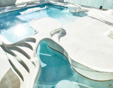 Piscina moderna con design organico e curve sinuose.