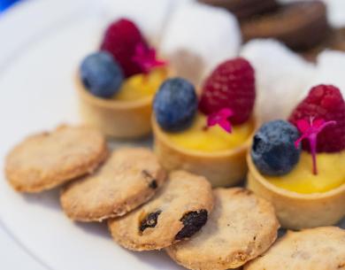 Assorted desserts with berries and cookies on a white plate.