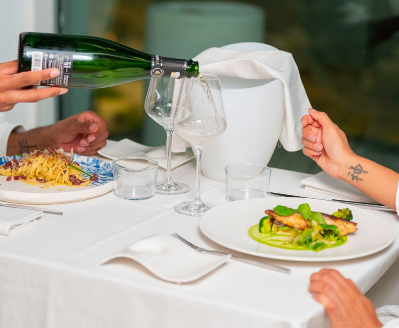 Cena elegante con vino e piatti raffinati, atmosfera intima e sofisticata.